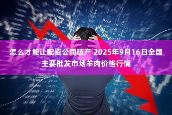 怎么才能让配资公司破产 2025年9月16日全国主要批发市场羊肉价格行情