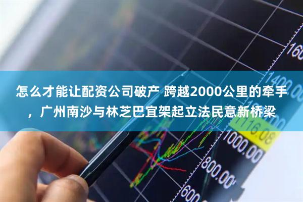 怎么才能让配资公司破产 跨越2000公里的牵手，广州南沙与林芝巴宜架起立法民意新桥梁