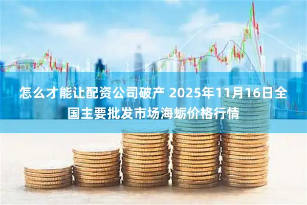 怎么才能让配资公司破产 2025年11月16日全国主要批发市场海蛎价格行情
