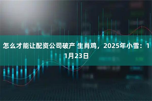 怎么才能让配资公司破产 生肖鸡，2025年小雪：11月23日