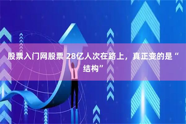 股票入门网股票 28亿人次在路上，真正变的是“结构”